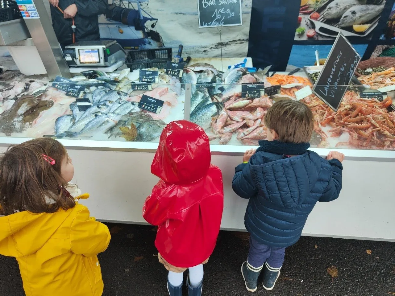 Des élèves de petite section, de dos, devant l'étal d'un poissonnier du marché.