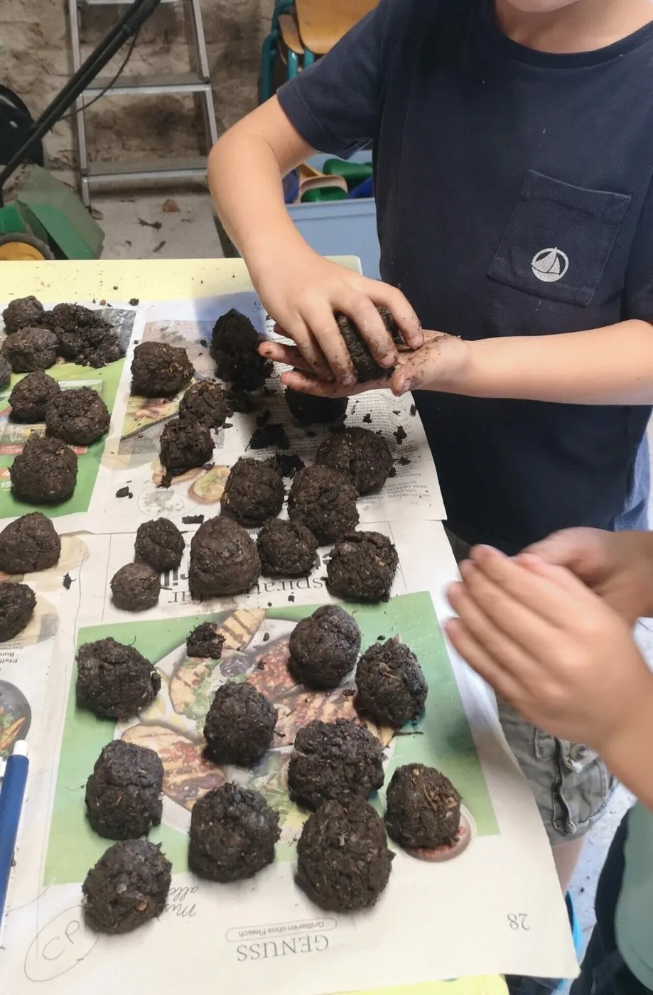 Des boules de graines posées sur une table, avec les mains d'un élève.