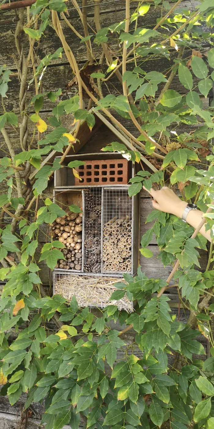 Un hôtel à insectes en bois au milieu de la végétation.
